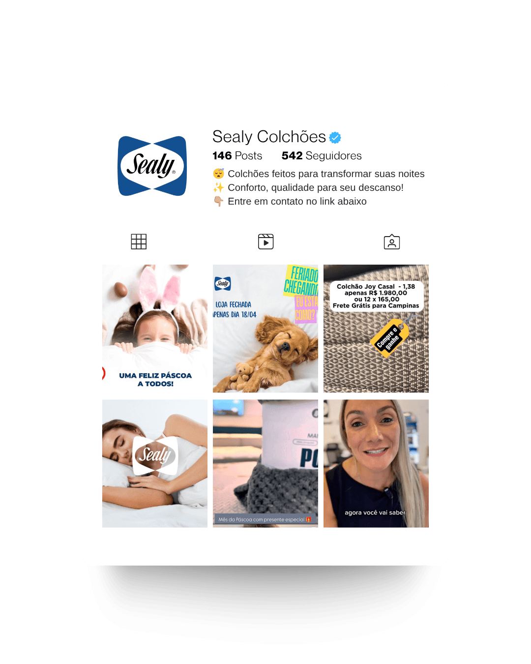 Perfil do Instagram da Sealy Colchões com linha visual criada para social media